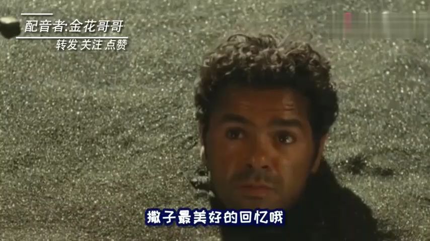 四川方言:你见过会掏耳朵的吉娃娃吗?笑得小编肚儿痛。